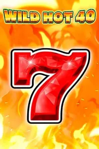 wild hot 40 official logo